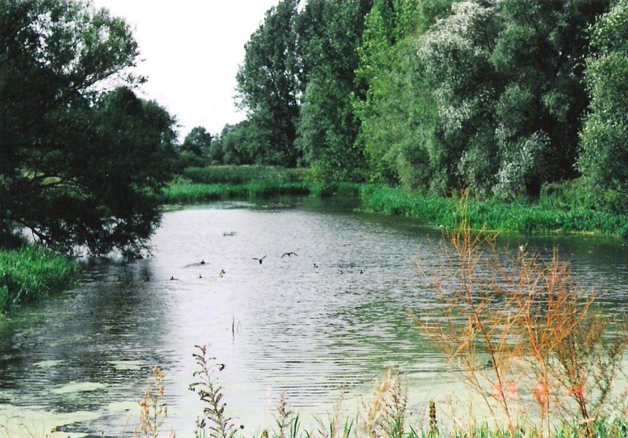 Star Camp Cosa, Ferienwohnungen, Camping, Schlaffaesser Friedland  Bagian luar foto